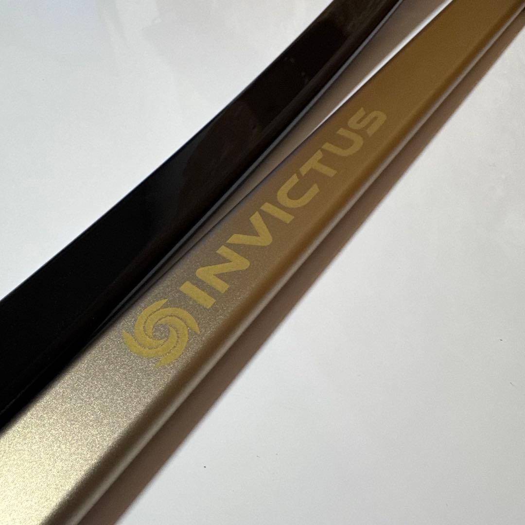 Invictus One コードレスクリーナー INV-102 GBE 24年製 - メルカリ