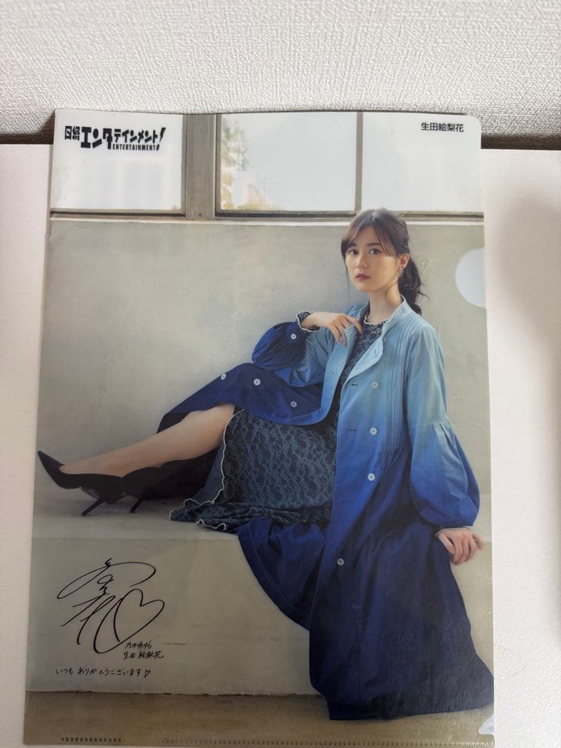 日経エンタテイメント 乃木坂46 生田絵梨花 クリアファイル サイン入り