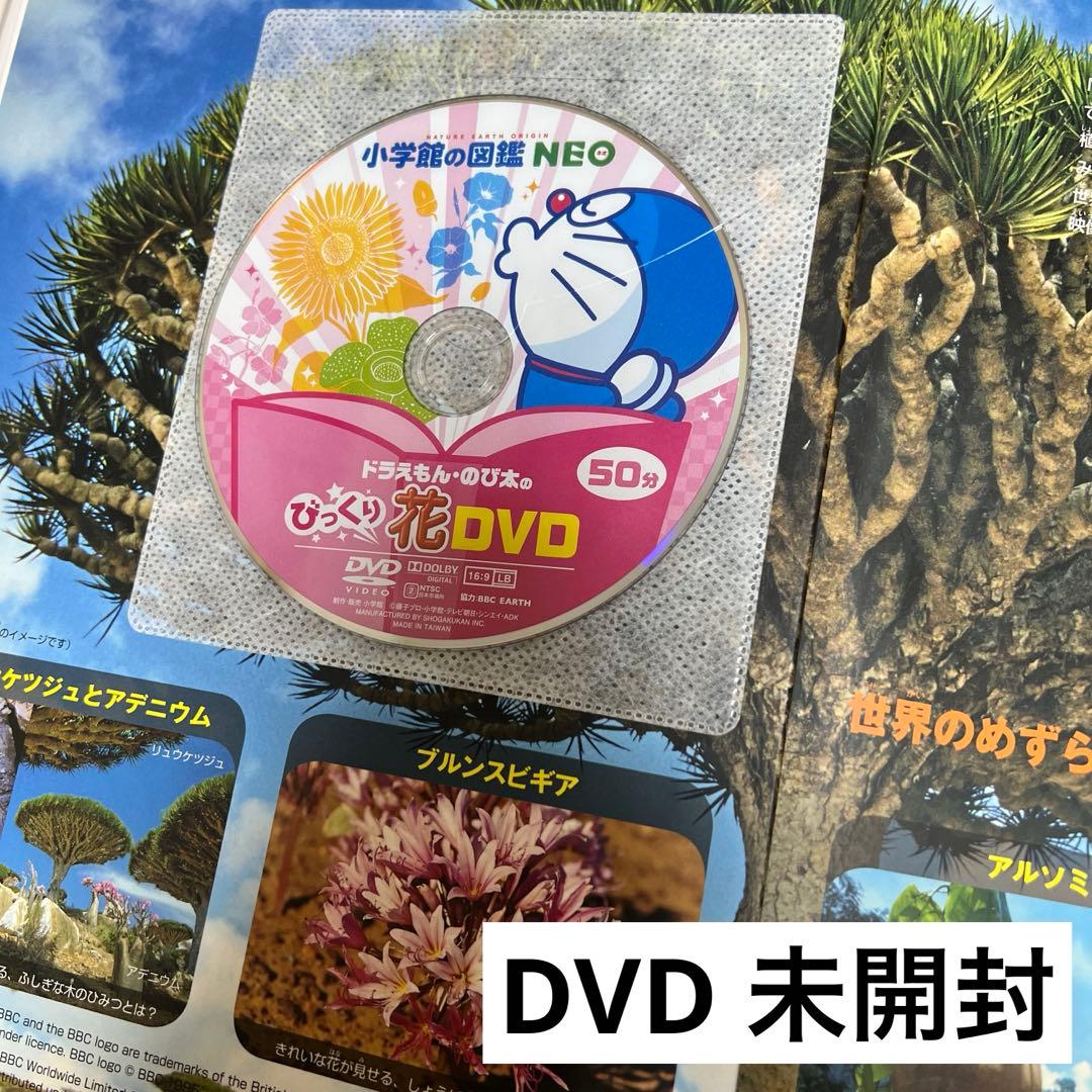 本日まで❗️】小学館 図鑑 NEO 14冊セット DVD未開封・下敷やマップ付