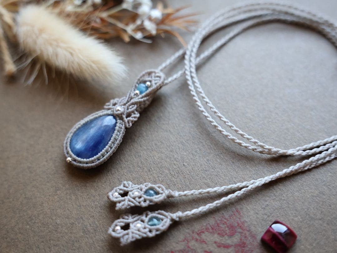 でんちゃん 11/8