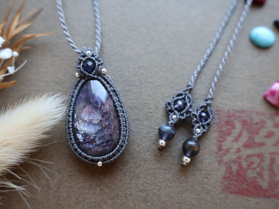 でんちゃん 11/8