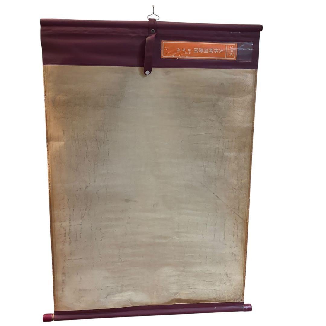 人体解剖図 白骨 人体模型 ヴィンテージ アート アンティーク - メルカリ