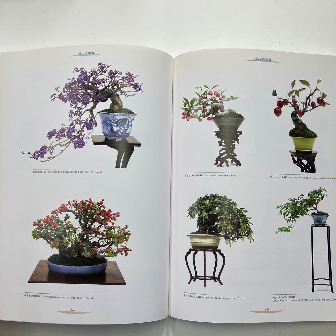 盆栽宇宙 THE MODERN BONSAI - メルカリ