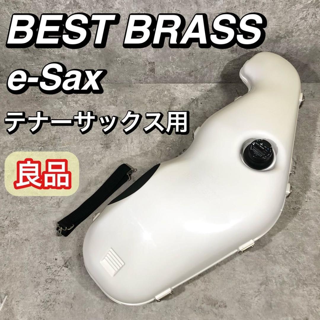 寺本 本鼈甲 16目 理容 櫛 コーム 本鼈甲 ベーク