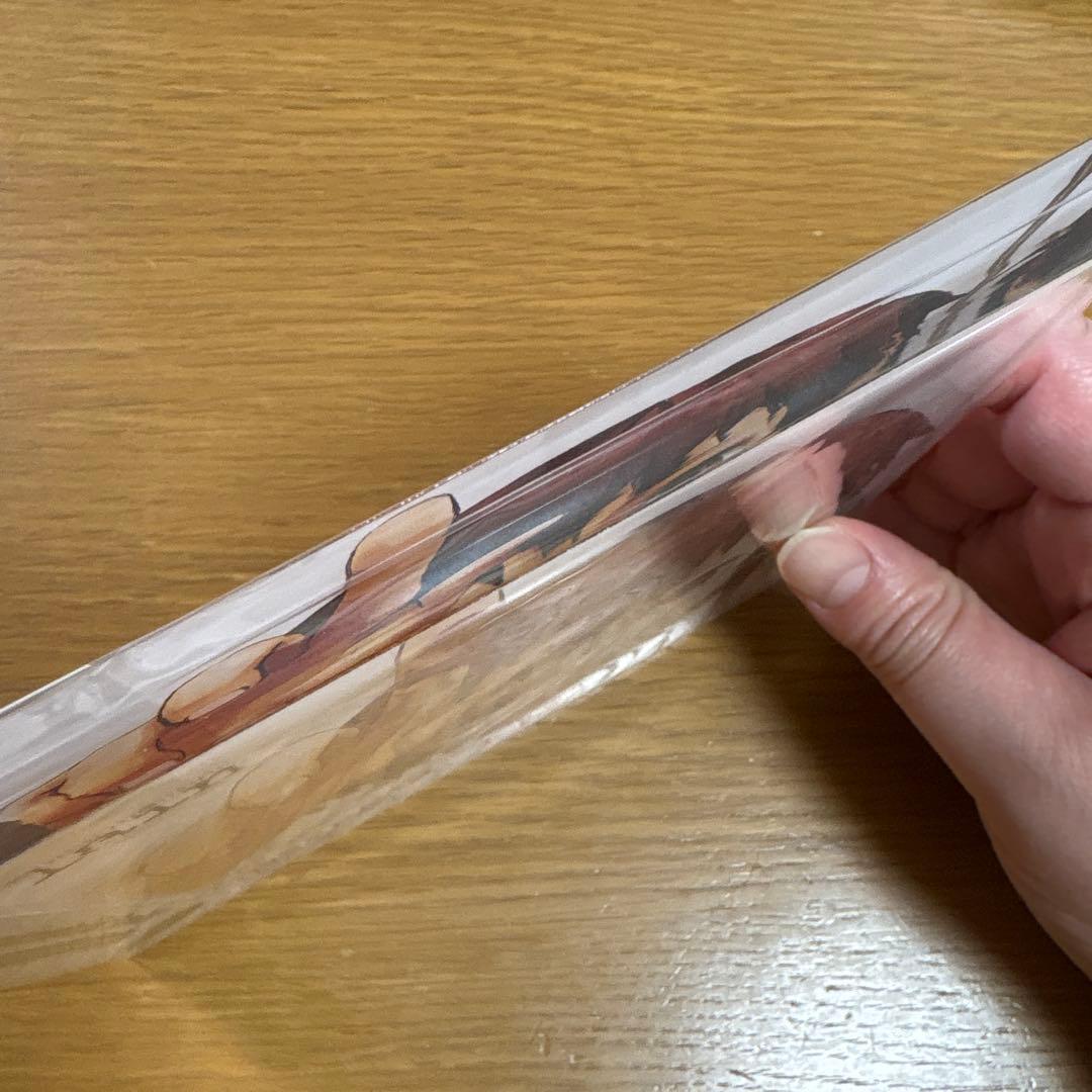 serial experiments lain CD風アクリルブロック 岩倉玲音 - メルカリ