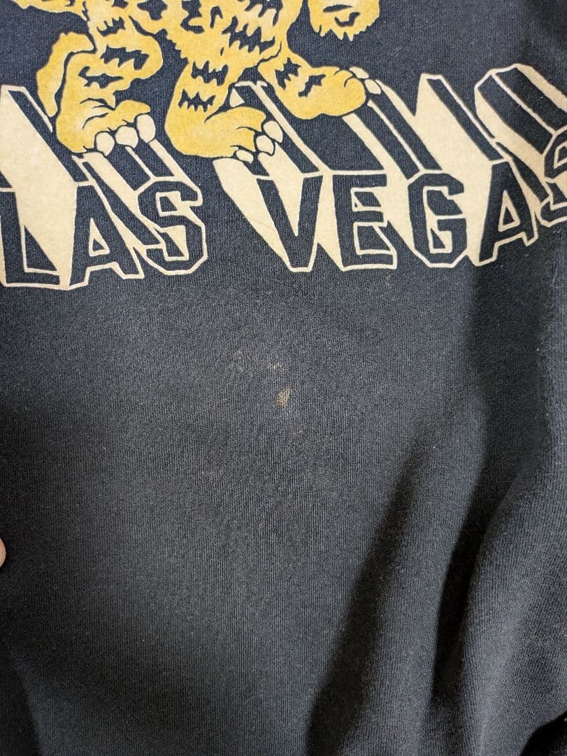 カラーフロッキー スウェット fj監修 - メルカリ