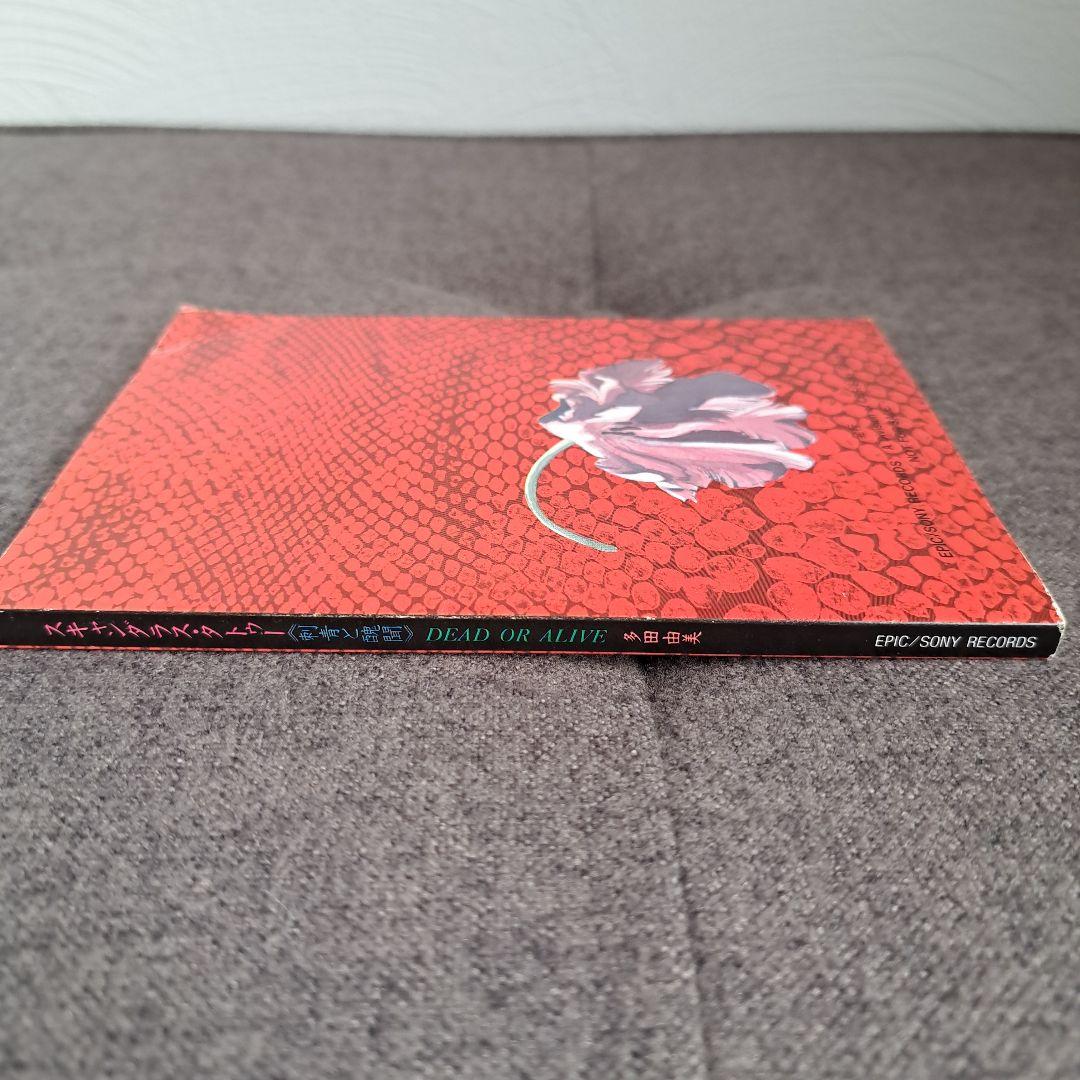 ポ*チ様 非売品☆多田由美【スキャンダラス・タトゥー 刺青と醜聞