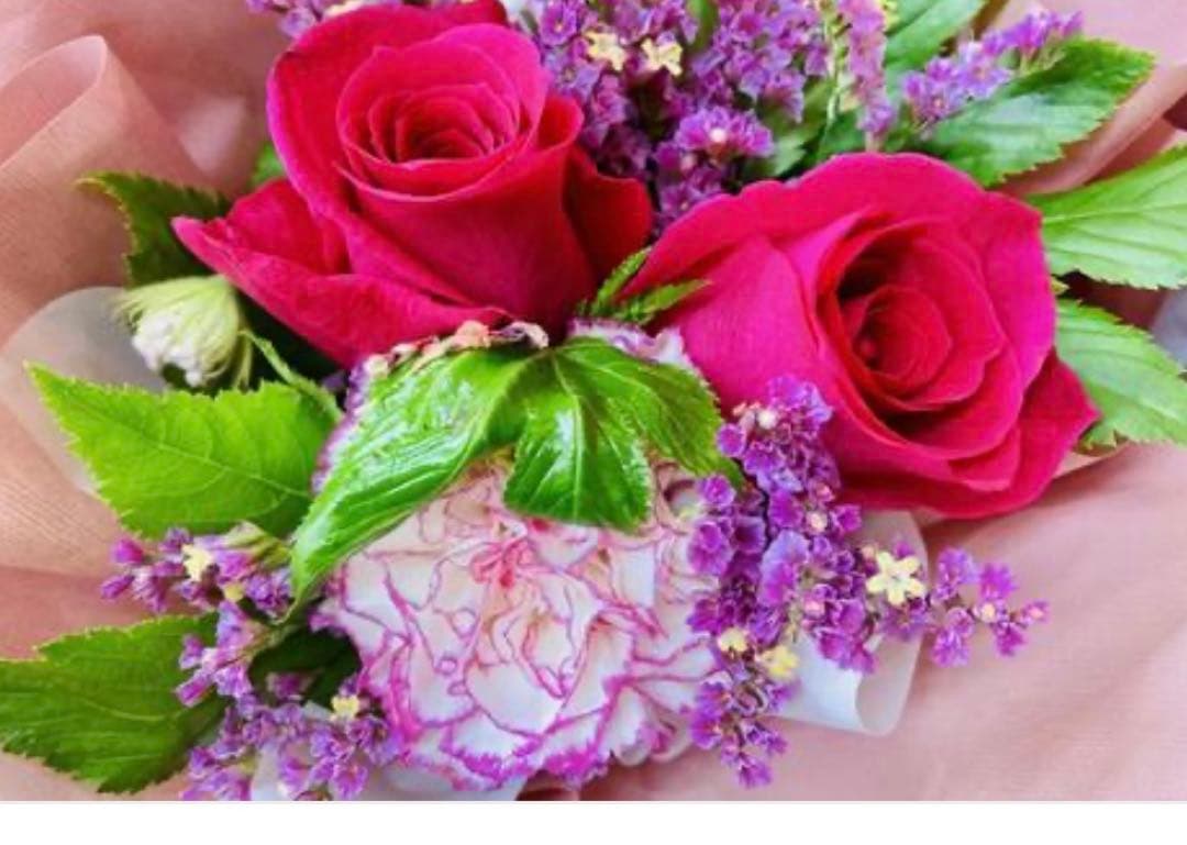 シャンプー f Borderless]カーシャンプー NF SHAMPOO 新提案の泡立てない密着型中性