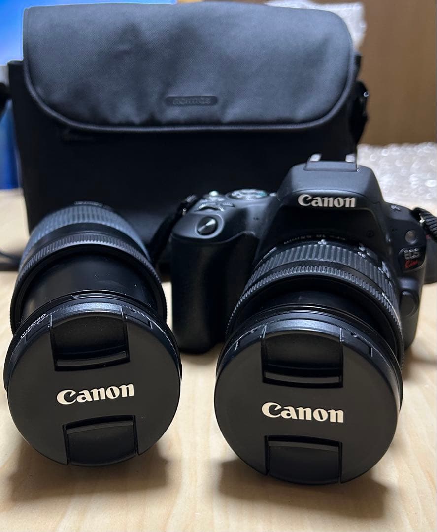 Canonカメラ プロ厳選・初心者におすすめのデジタル一眼レフカメラを実写で比較