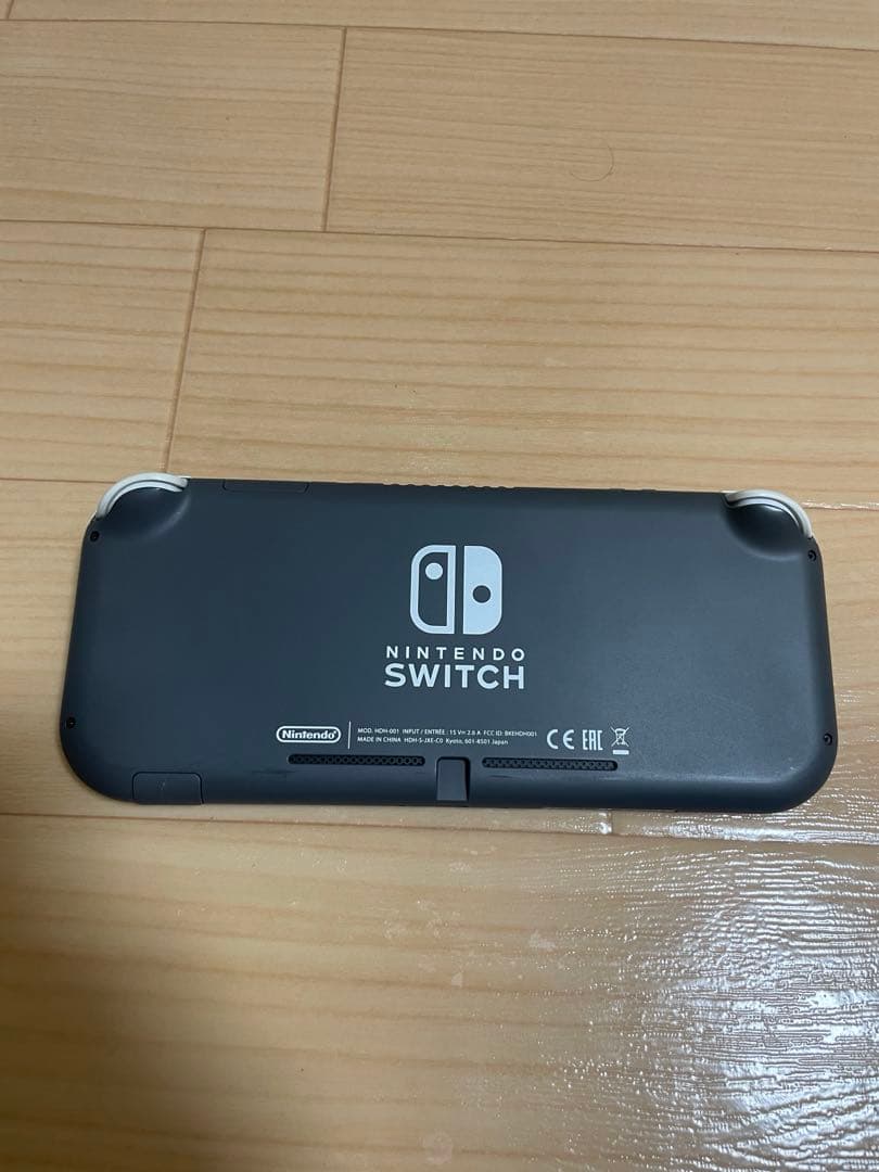 Nintendo Switch Lite Glay