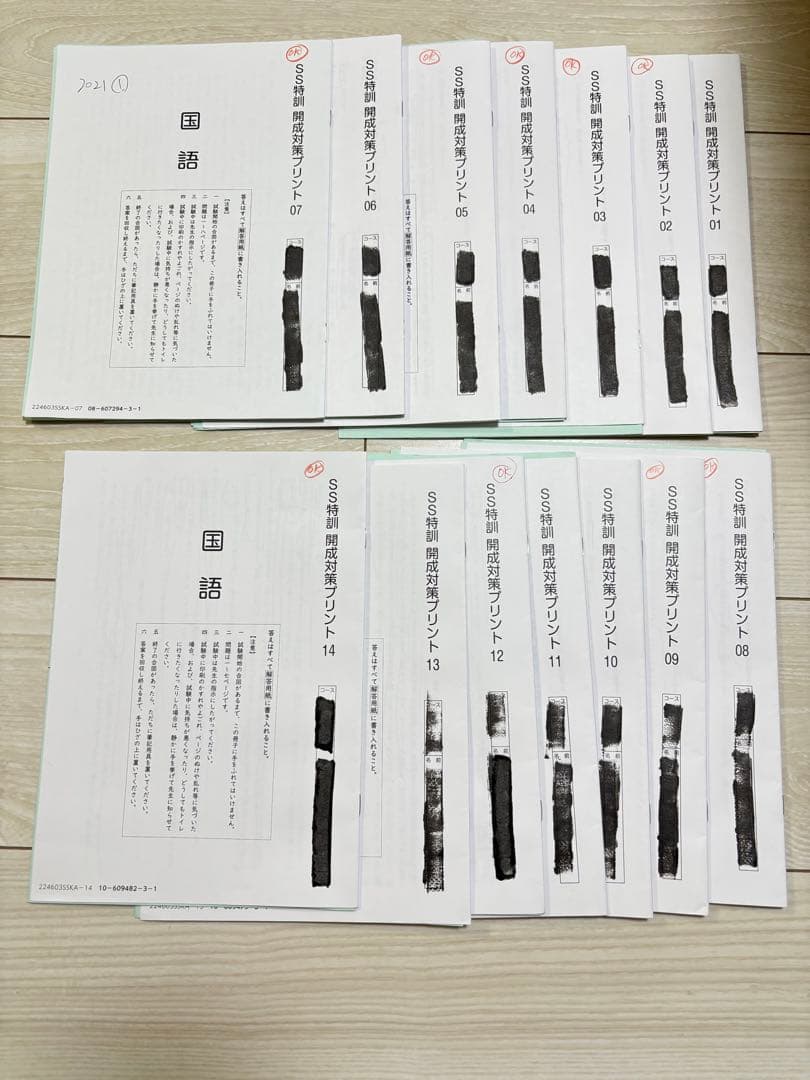 SAPIX 6年国語 SS特訓開成対策プリント SS特訓語彙力完成プリント