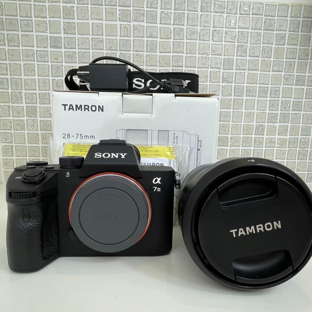 撮影枚数11877枚　SONY α7III + TAMRON 28-75mm a7IIIとTAMRON 28-75mm F/2.8を持ってディズニーシーに行ってきた