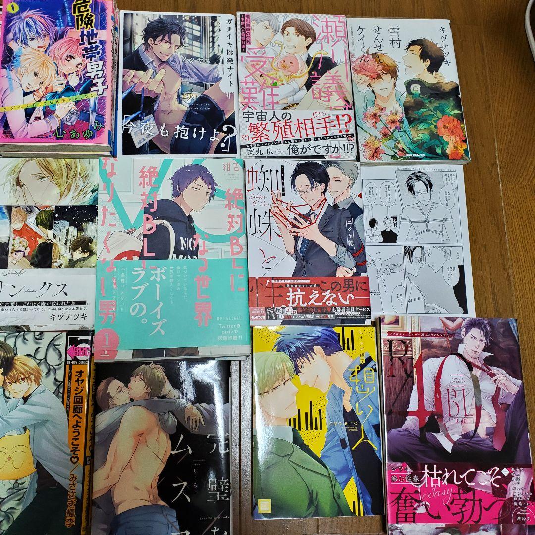 異世界系漫画BL漫画GL百合漫画少女漫画小説など112冊セットまとめ