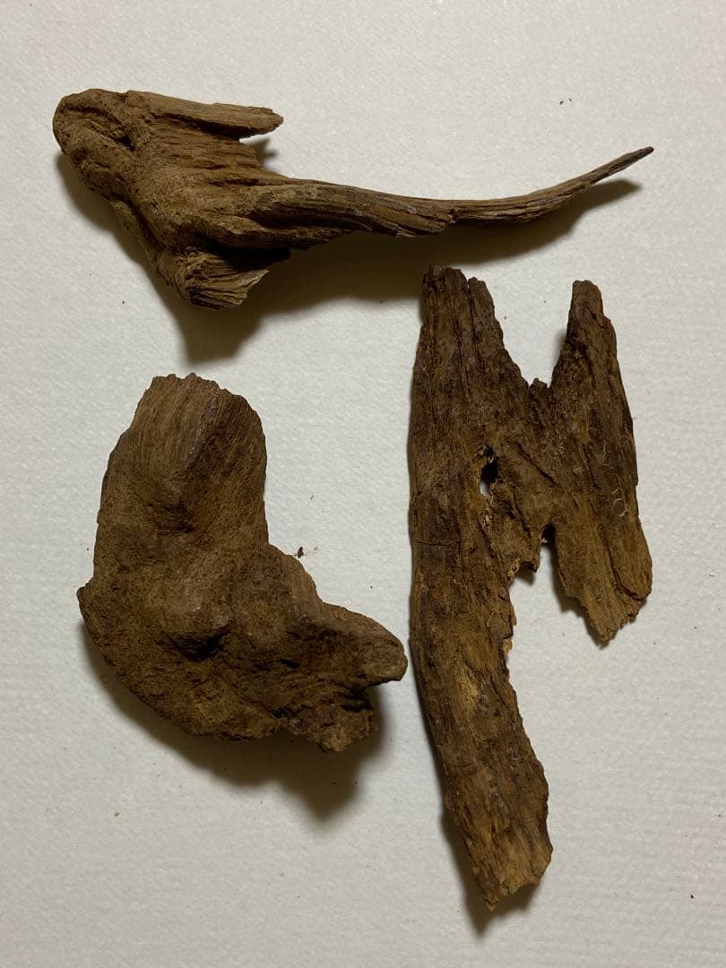 天然沈水沈香木詰め合わせ 10g