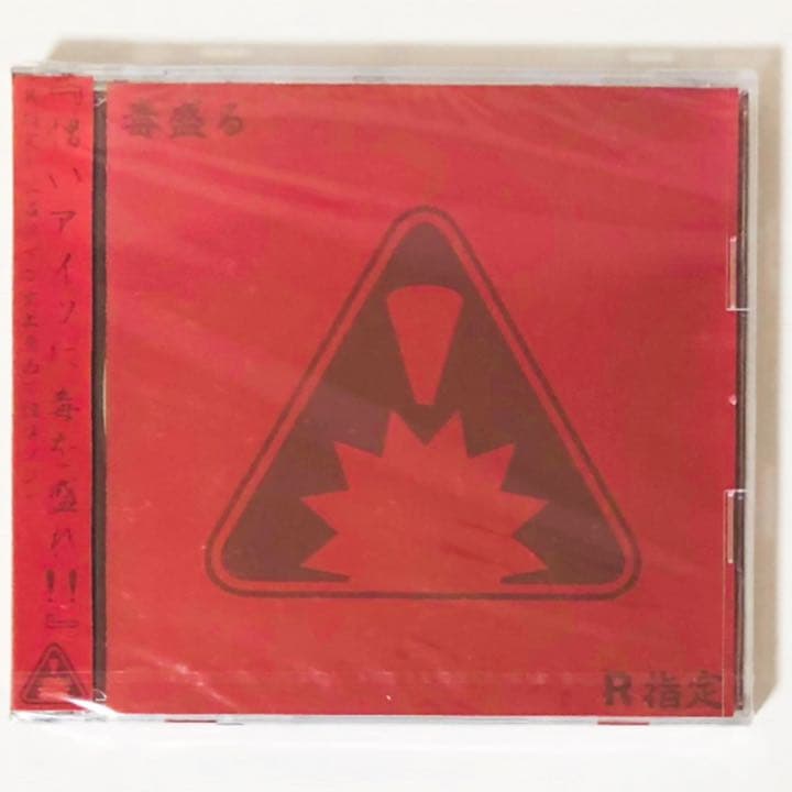 V系★R15★R指定★CD＋DVD★9点セット