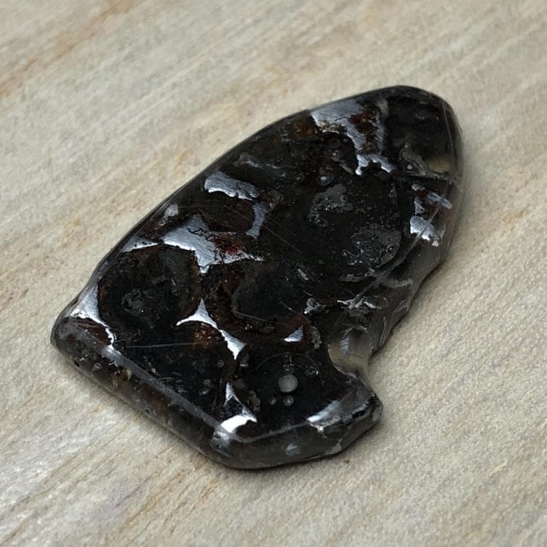 パラサイト隕石 メテオライト 隕石 石鉄隕石 2点 重さ28g 共箱