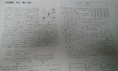 サピックス＊SS特訓＊6年 理科＊桜蔭対策プリント＊全14回完全版