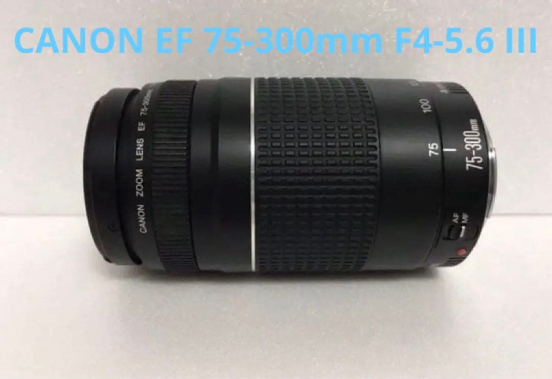 大迫力の300㎜☆イベント☆キャノン Canon EF75-300㎜☆ Canon EF 75-300mm F/4-5.6 III Lens - Walmart.com