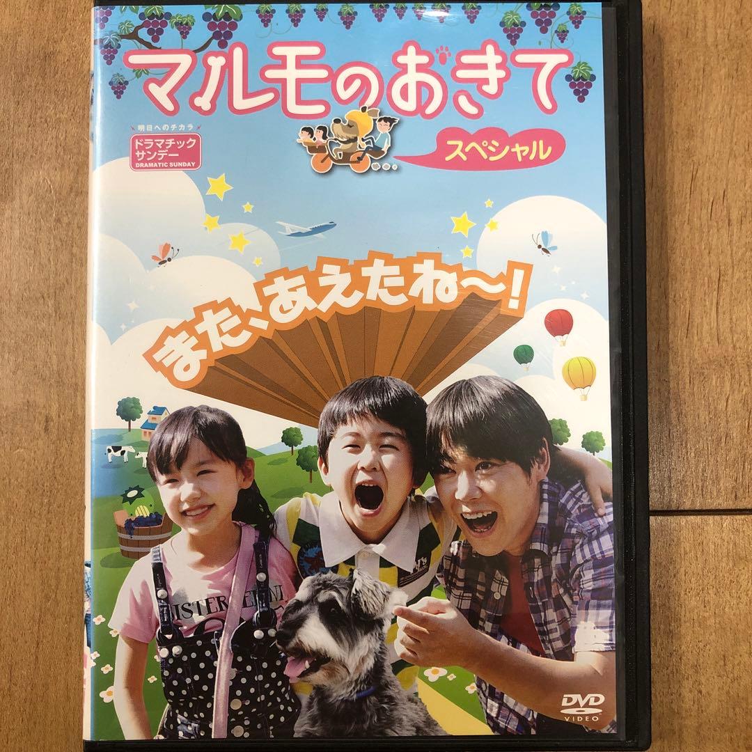 マルモのおきて スペシャル DVD ドラマ - メルカリ