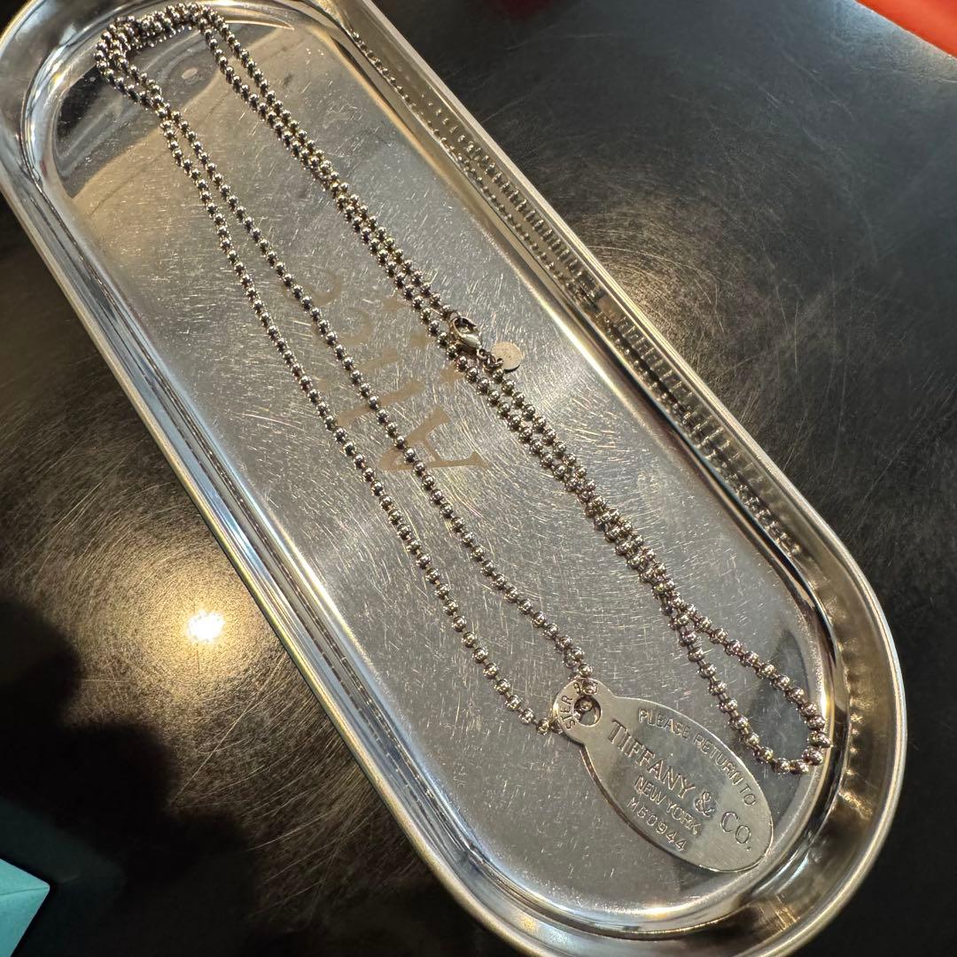 大型 ユダイクス♂野外標本の通販はau PAY マーケット - 輸入雑貨の