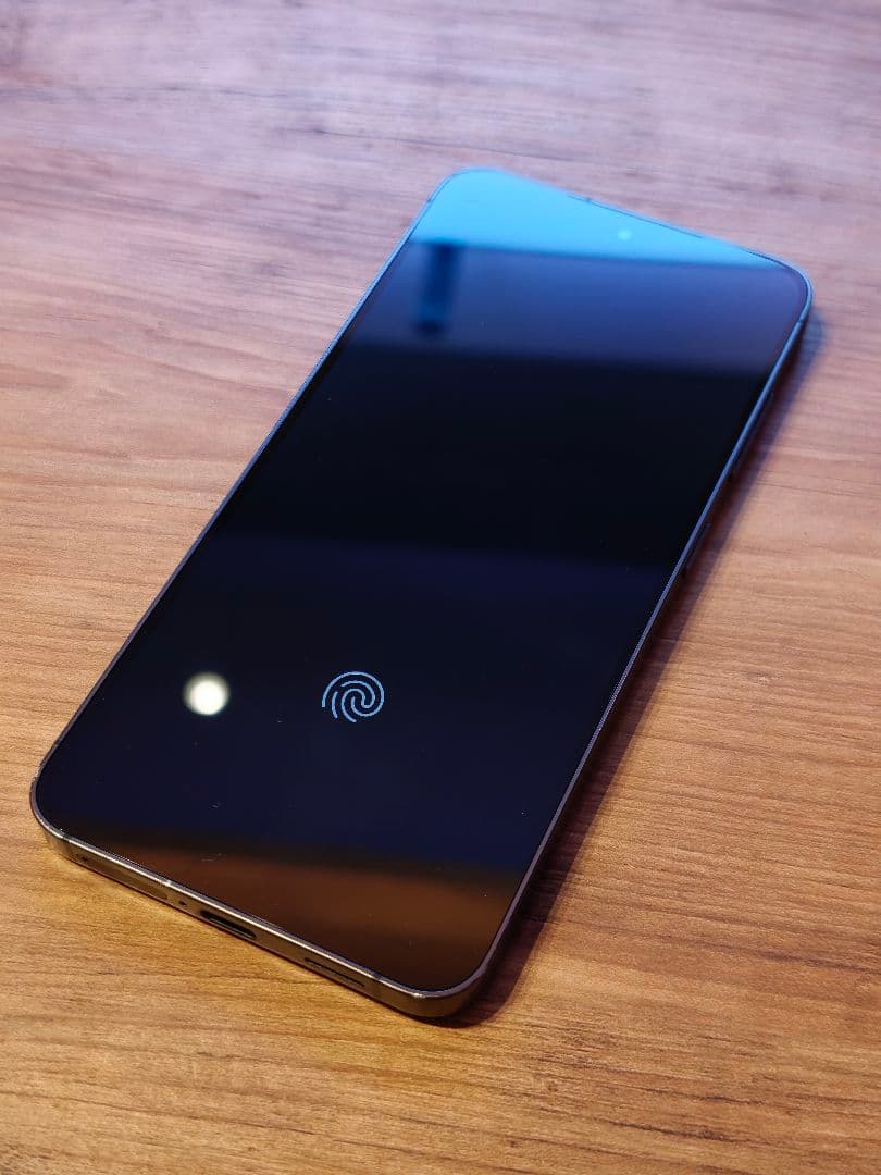 Fahrizal様専用] S24 SM-S9210 256GB グローバル版 - メルカリ