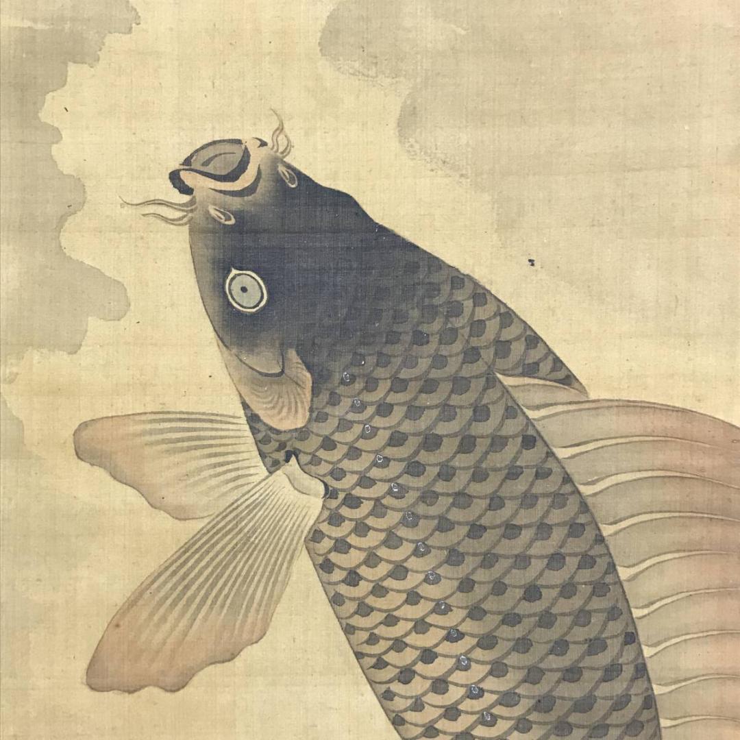 円山応挙/圓山應擧/跳鯉図/コイ図/鯉図/掛軸/名家伝来/AD-768 - メルカリ