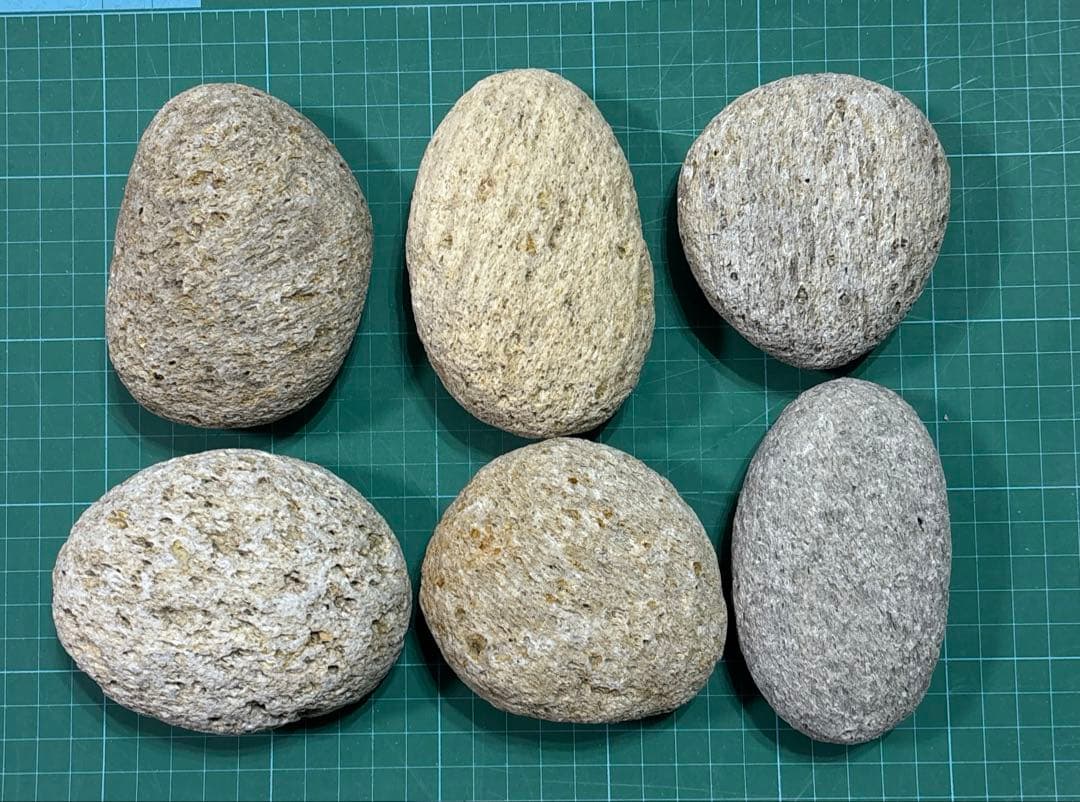 未加工 軽石 6個セット - メルカリ