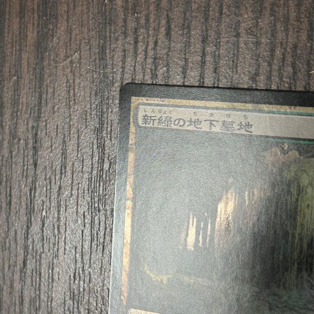 【日本語Foil】《新緑の地下墓地/Verdant Catacombs》ZEN