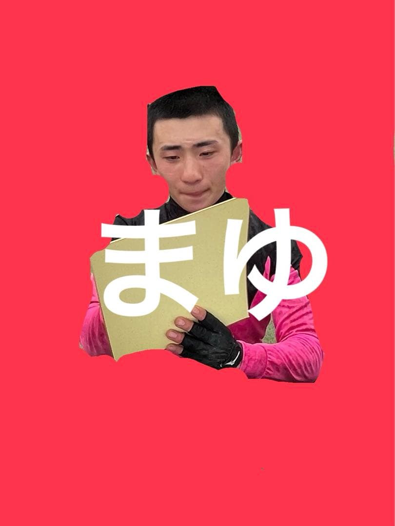 競馬 長浜鴻緒 直筆サイン色紙 武豊 ルメール - メルカリ