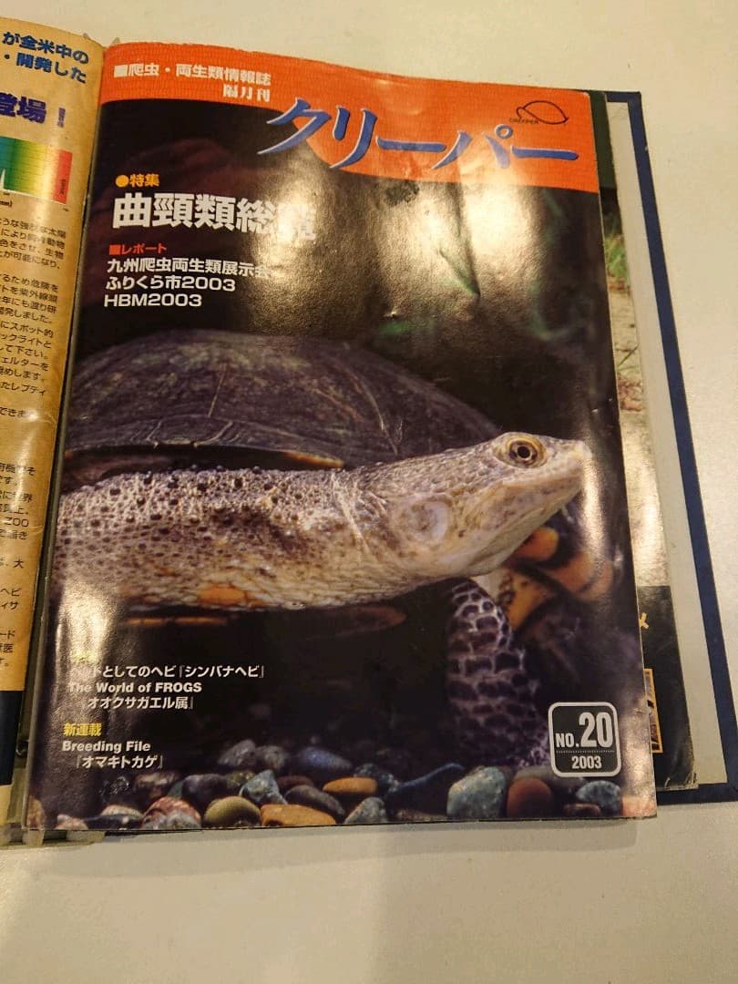 クリーパー 6冊 爬虫・両生類情報誌 創刊3号No.6・8・11・20・22