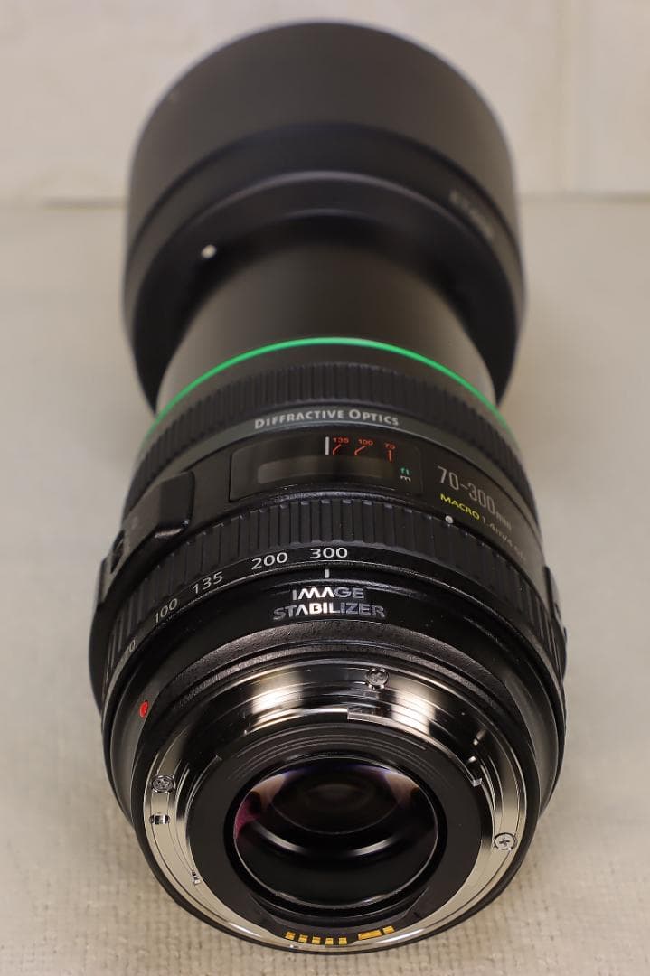 EF70-300mm F4.5-5.6 DO IS USM【高解像感・作例あり】