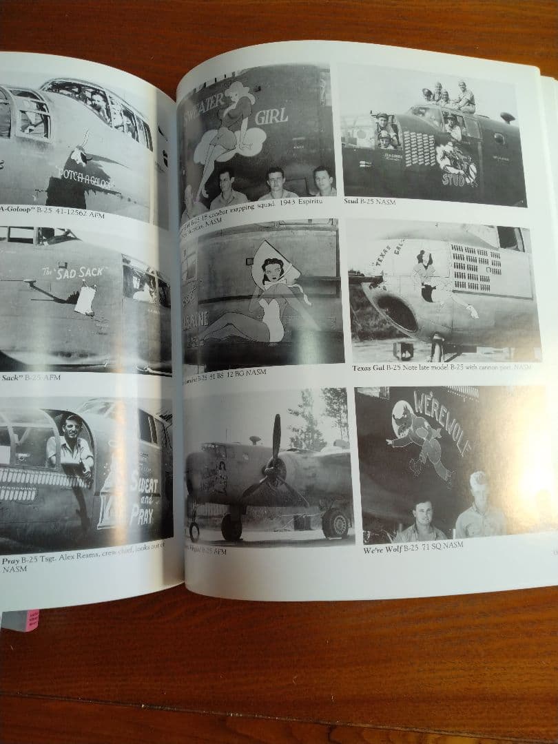 Nose Art Hard to Get! 他 ノーズアート - メルカリ