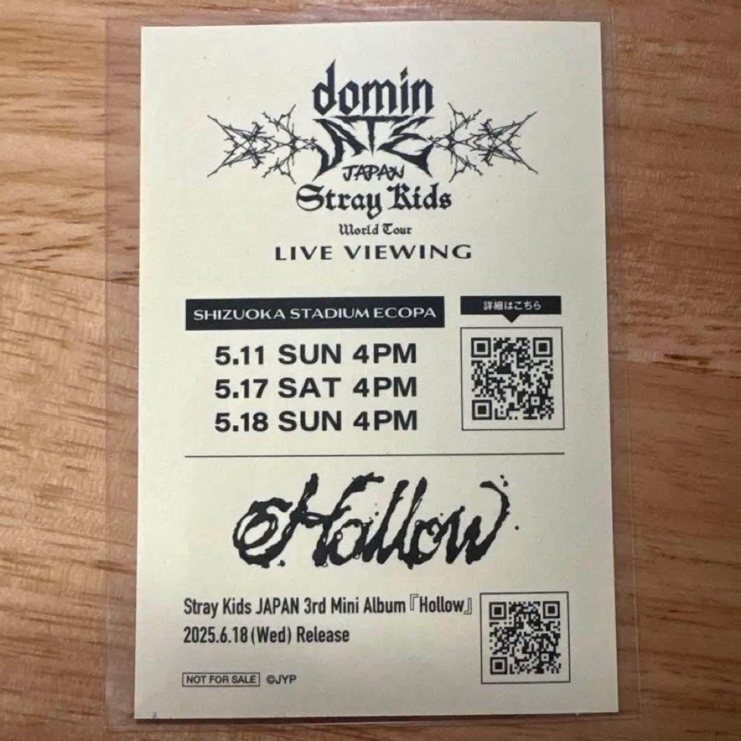 スキズ Stray Kids 静岡エコパスタジアムライビュ 入場特典