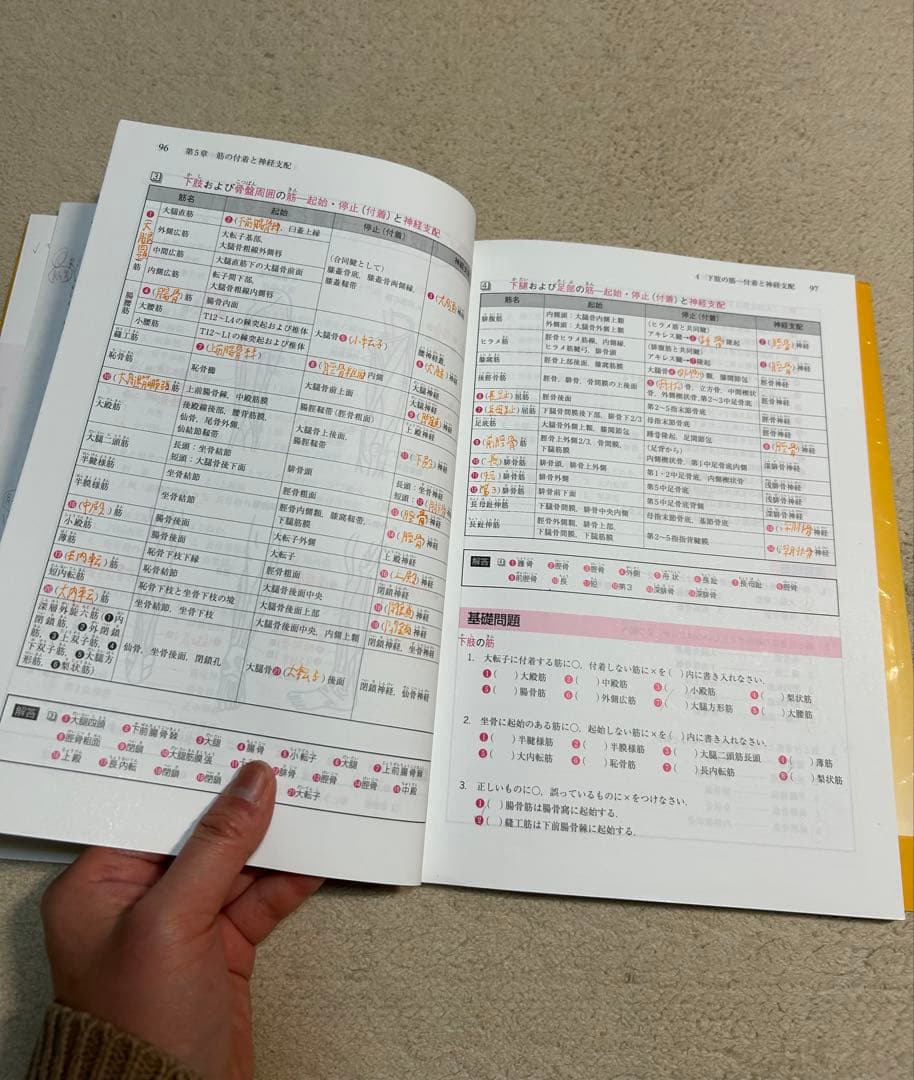 まとめ買い割引OK！」 理学療法士、作業療法士 基礎から学ぶ解剖学