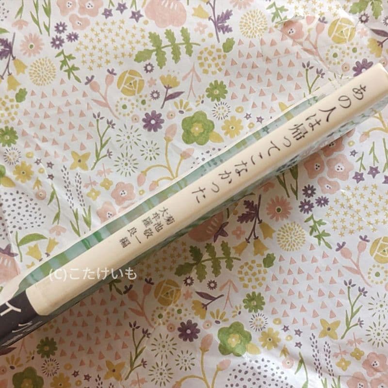 あの人は帰ってこなかった 訳あり注意ゆうパケットポストmineにて発送　送料込み