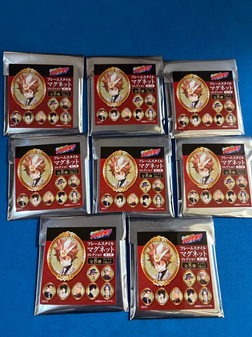 家庭教師ヒットマンreborn フレームスタイルマグネットコレクション