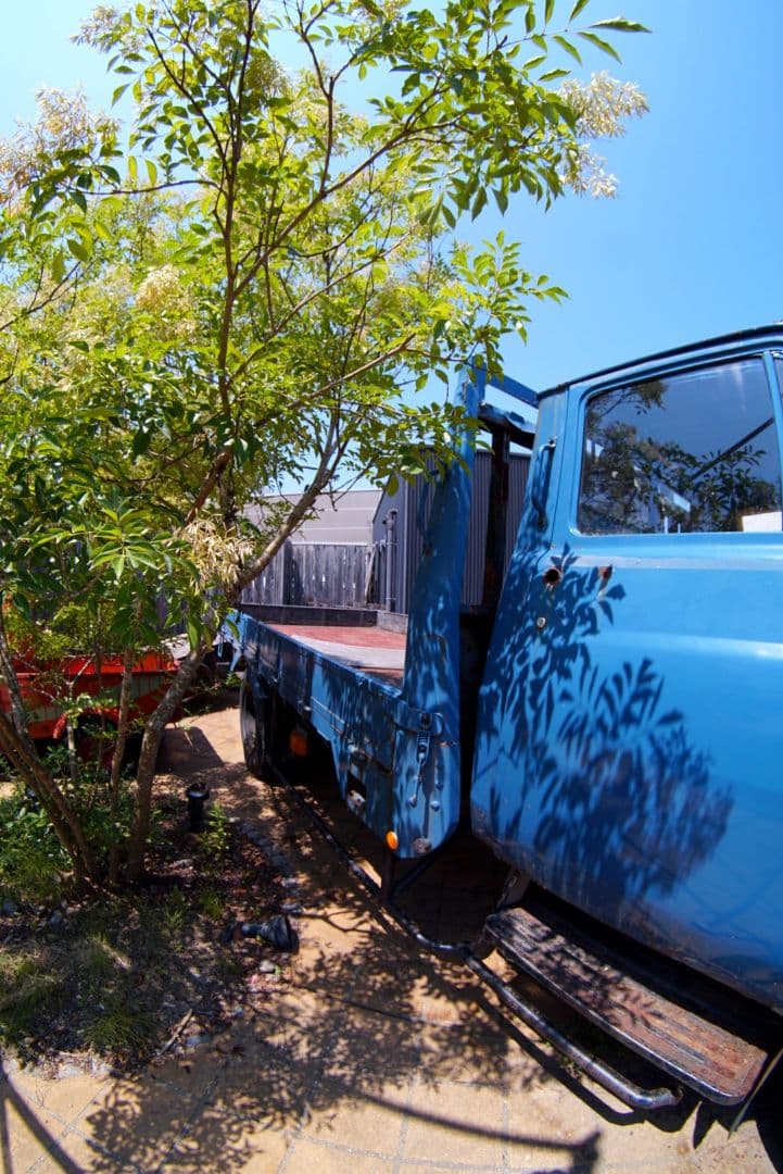 神！フィッシュアイ！心地の良いヌケ感！旅行に！風景に！特殊撮影！非日常！美品