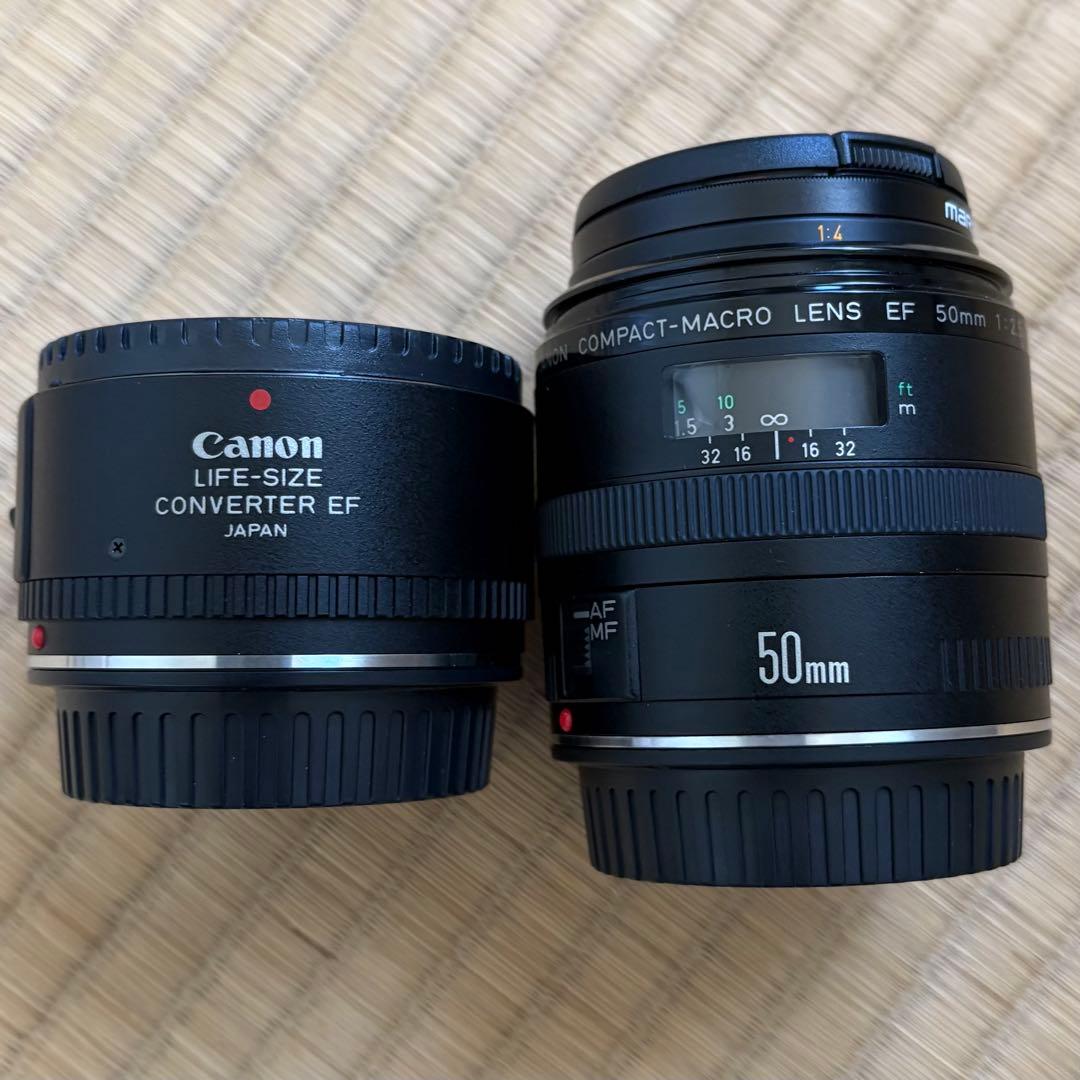 キヤノン ライフサイズコンバーターEF & EF 50mm f2.5マクロセット Canon Life-Size Converter EF 2818A004 B&H Photo Video