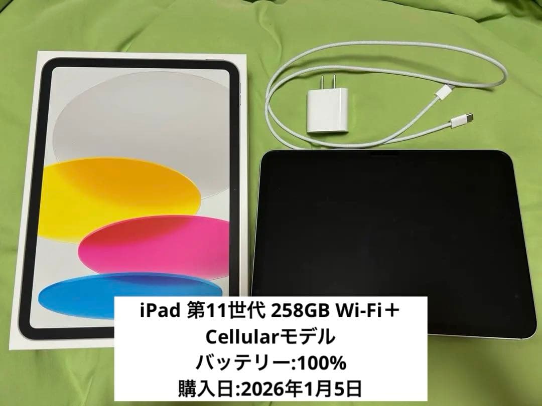 iPad 第11世代 256GB Wi-Fi＋Cellularモデル シルバー Apple iPad Air 11インチ Wi-Fi+Cellular 256GB 2024年春モデル MUXJ3J