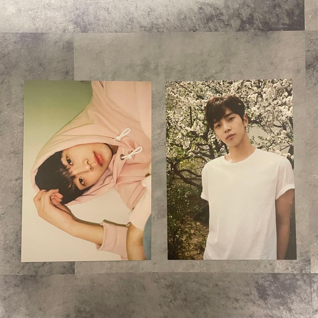 ロウン デビュー前 ポストカード - メルカリ