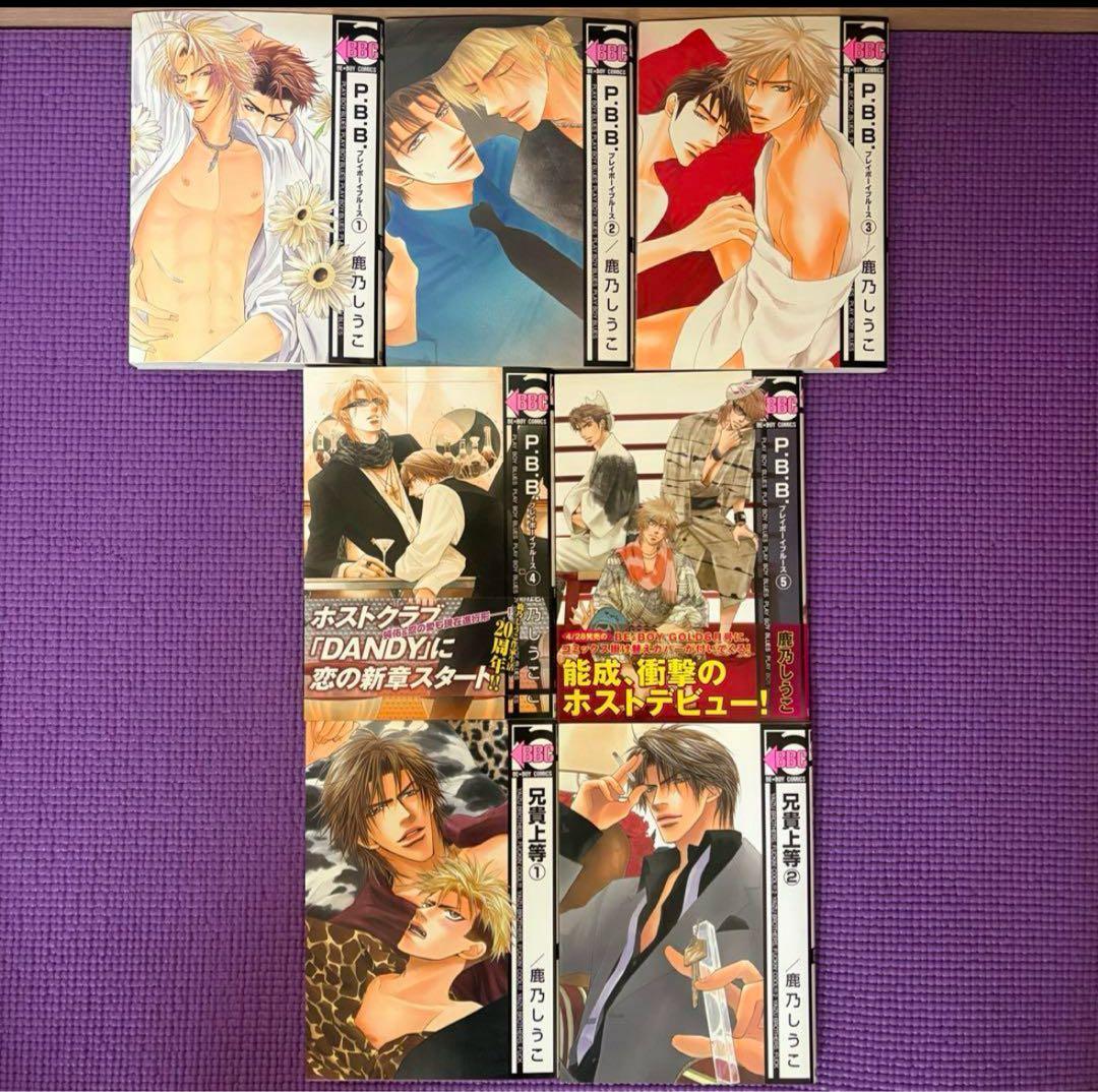 BL漫画 29冊 まとめ売り 朝田ねむい 蓮山田れん 石田育絵