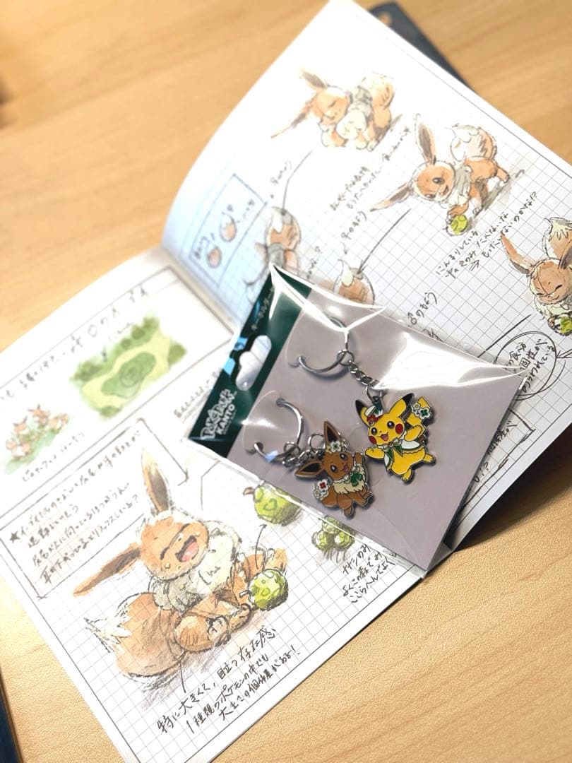 ポケパークカントー 非売品冊子付き ピカチュウ イーブイ キーホルダー