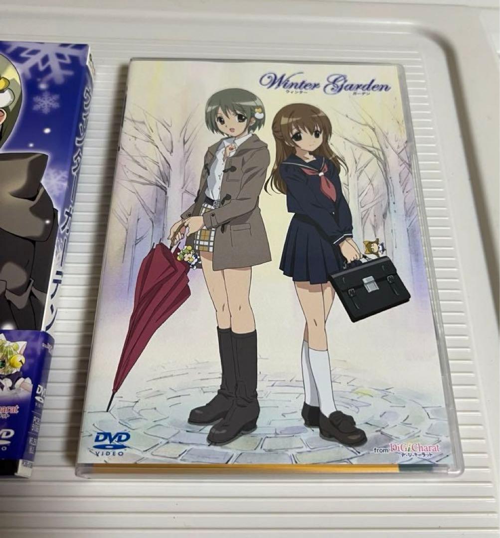 ウィンターガーデン DVD 初回限定版