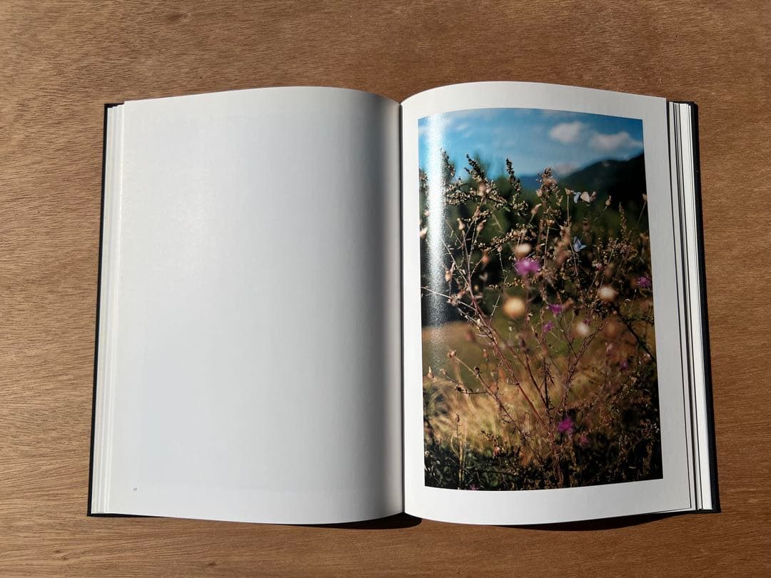 Lana by Terri Weifenbach ハードカバー - メルカリ