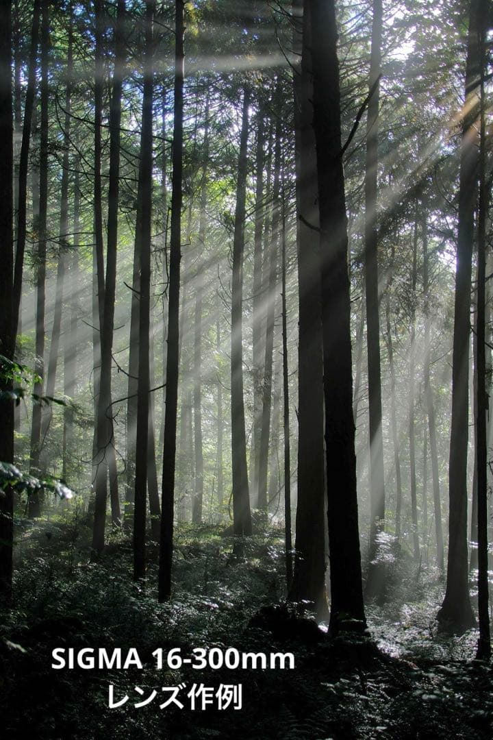 【極美品】 SIGMA 16-300mm F3.5-6.7 FUJI Xマウント