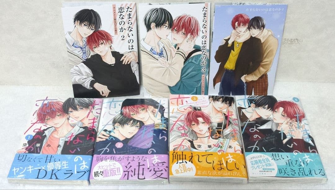 たまらないのは恋なのか∥雑誌∥切り抜き