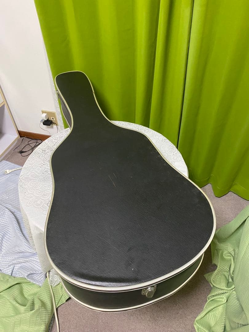 新春特価 Greco ハミングバード エレアコ フジゲン製 - メルカリ