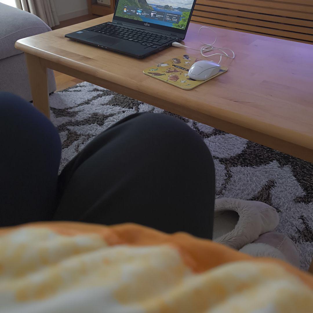 13.3型【Lenovo X390】ノートPC│Windows11・i5第8世代 Amazon.co.jp: 【整備済み品】 【 カメラ内蔵 置き場所便利 13インチ