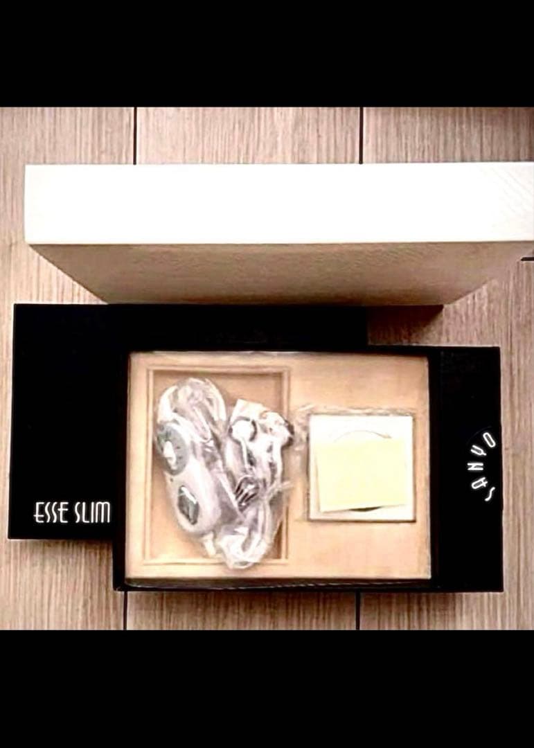 ESSE SLIM エッセスリム　サンヨーメガ 希少レア】SANYO サンヨー ESSE SLIM エッセスリム MP3｜Yahoo!フリマ