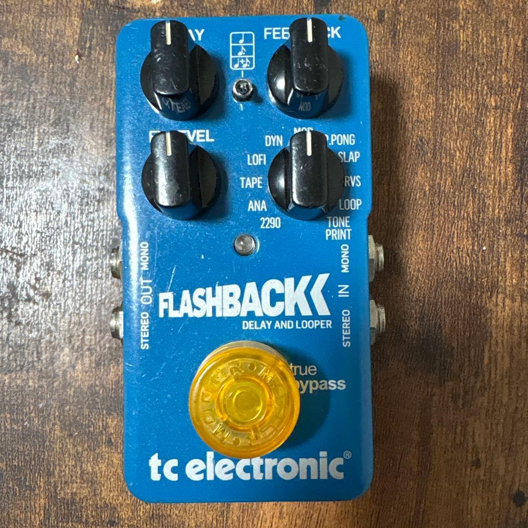 tc electronic FLASHBACK ディレイとルーパー Amazon | tc electronic Flash Back DELAY & LOOPER ギター